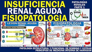 ACUTE RENAL FAILURE PATHOPHYSIOLOGY | GuiaMed