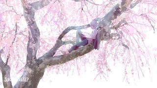 Oliver Chang &amp; Evan James - Cruise