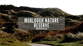 Murlough Nature Reserve | Newcastle | County Down | Northern Ireland | Murlough Beach