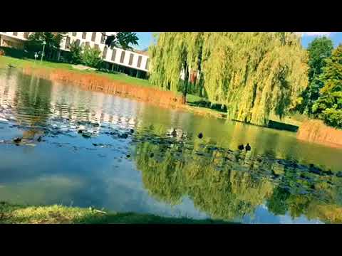 Marvin Game - Sie will nicht, dass du sie rettest