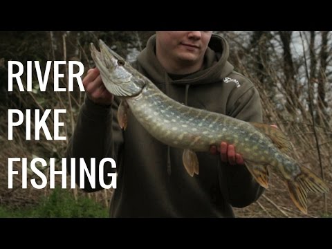 RIVER PIKE FISHING - RIVER AVON - FLOAT LEGERED DEAD BAITS