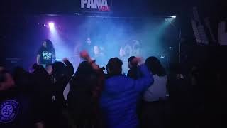MALDITOS &quot;Mercado Indio&quot; Los Violadores cover (Pana Rock, 15/07/2016)