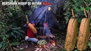Download lagu Bertahan hidup di hutan, Memasak sayuran dan umbi liar, memetik buah pandan hutan | Survival mp3 Download lagu Bertahan hidup di hutan, Memasak sayuran dan umbi liar, memetik buah pandan hutan | Survival mp3