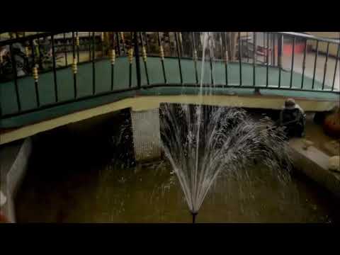 Ebisan hooks Goriola