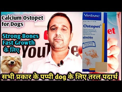 250ml ostopet calcium syrup