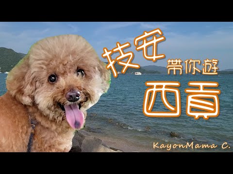 技安帶你遊【西貢】 Kayon shows you around Sai Kung