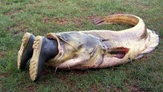 Как нарисовать людей на рыбалке