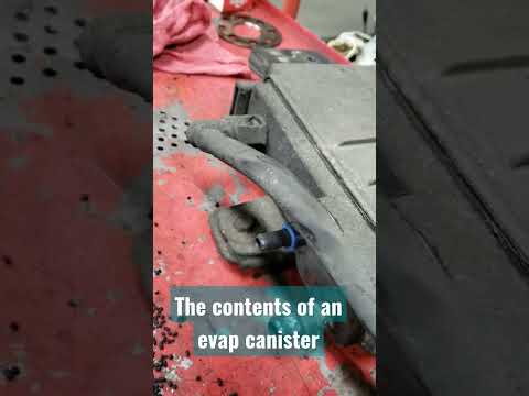 The contents of an EVAP Canister