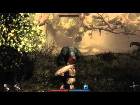 Risen tactics: Ashbeast (no damage)