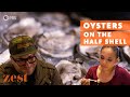Oysters On the Half-Shell | Good Gumbo Oysters On the Half-Shell | Good Gumbo