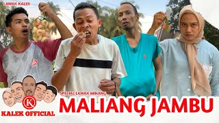 Download lagu Guava Thief mp3
