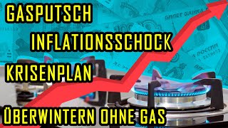 Verzicht auf Gas aus Russland: Wie sich Deutschland auf Lieferkürzungen vorbereitet