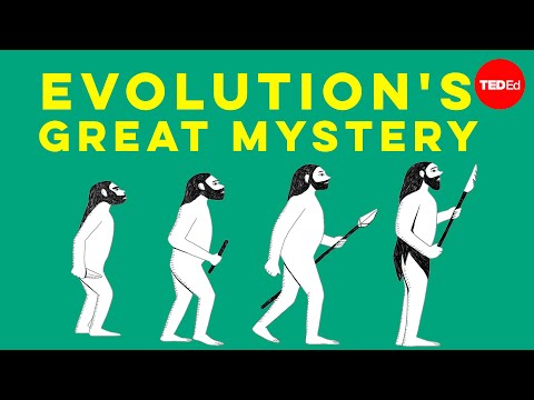 A Mystery of Evolution: How Did Human Language Come To Be?