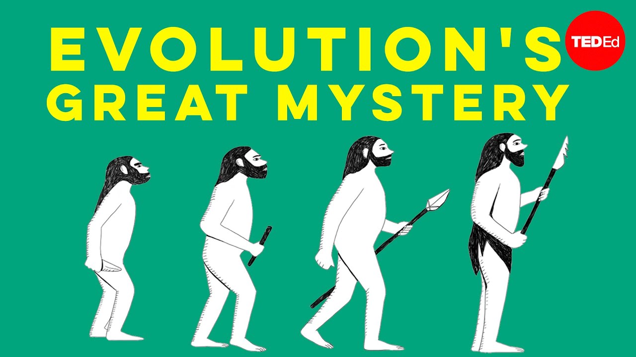 Evolution s great mystery: Language - Michael Corballis