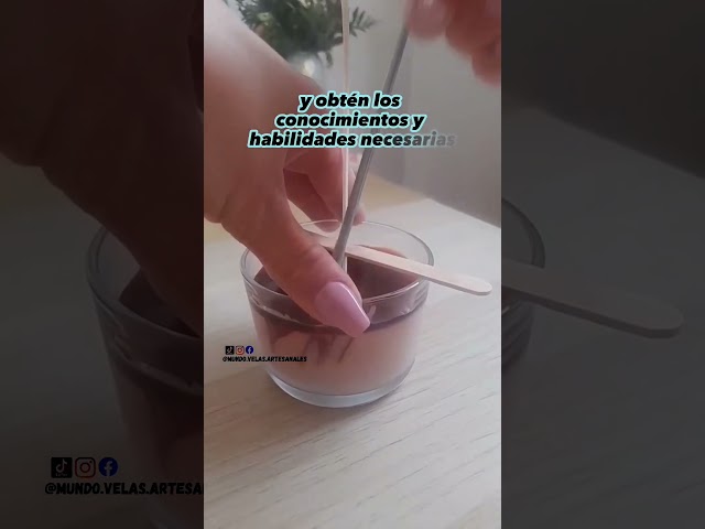 Vídeo relacionado con Bolsius - vainilla Velas de té con fragancia - Algodón fresco - Paquete de 18 - Larga duración de combustión de 4 horas - Vela doméstica - Decoración de interiores - Extractos naturales