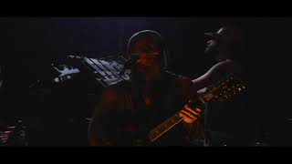 Sleepytime Gorilla Museum - The Companions