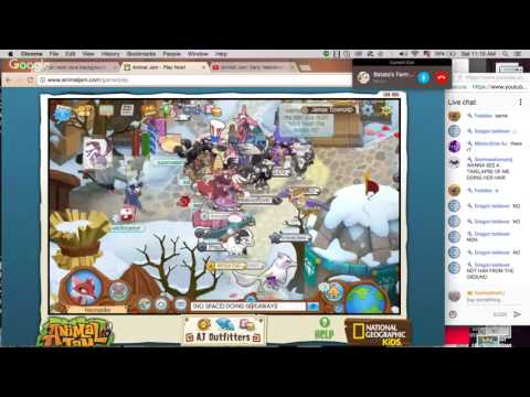Animal Jam: Early Valentine's Special! BETA CONFESSED HIS LOVE!!