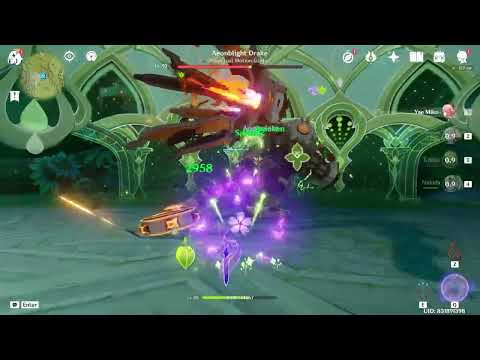 Double Dendro Electro Team Comp