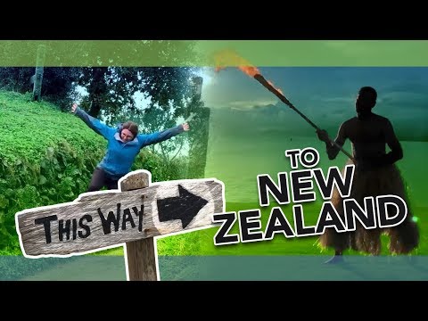 A Glimpse Into Kiwi Life While Studying Abroad