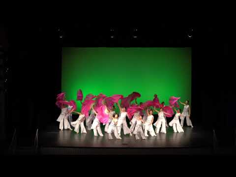 22. Magnificence - WCS Youth, Intermediate, Advanced Classes