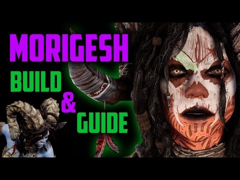 Paragon Morigesh Build & Guide - THE UNSTOPPABLE BEAST