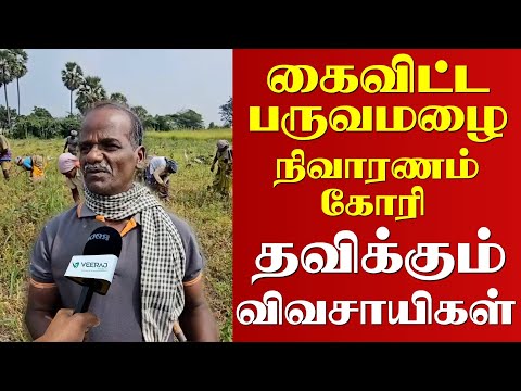 THOOTHUKUDI FARMERS SUFFER CROP LOSSES DUE TO POOR MONSOON | SEEKS GOVERNMENT HELP