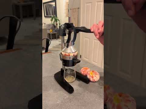 This Manual Juicer Extracts Every Last Drop 🍊
