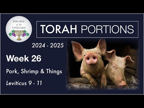 Torah Portion Week 26 - Leviticus 9 - 11 ( Bible Says No Pork Or Shrimp )  2024 - 2025