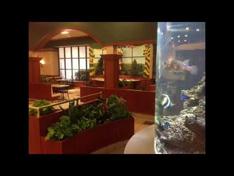 Danvers, Massachusetts Plantscape Designs Inc Services kelly's Roast Beef Restaurant