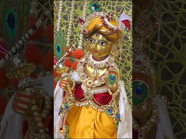 હરિકૃષ્ણ મહારાજ