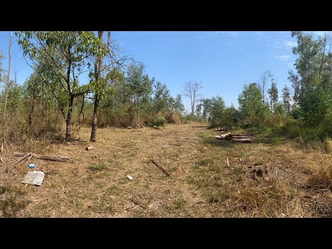 SÍTIO A VENDA 2.53 ALQUEIRES REGIÃO DE RIO CLARO SP