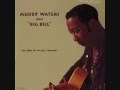 Southbound Train Muddy Waters - countrysoul Southbound Train Muddy Waters