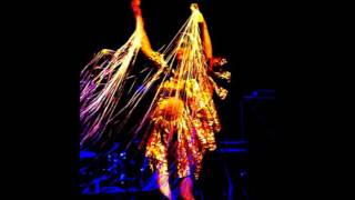 Björk Bachelorette (Voltaic-Live Paris)