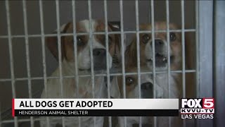 Henderson animal shelter helps hundreds of pets find homes