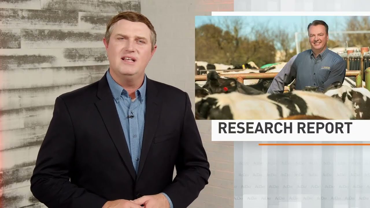 Livestock Sustainability and Funding Research Report