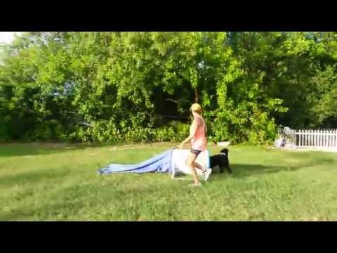 Marybeth & Sable - May 14, 2015