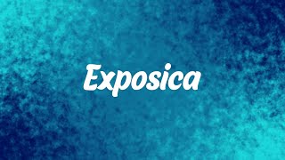 Download lagu NGHTMRE & Zeds Dead - Shady Intentions feat. Tori Levett mp3