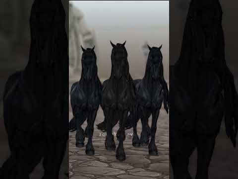 The main 3  #equestrian #starstable#rrp #sso  #horses