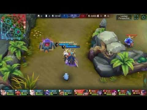 Noob zilong got 46 kills with no death