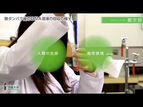茨城大学農学部