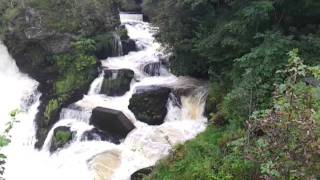 preview picture of video 'Fotlands fossen - Salmon jumping upstream'