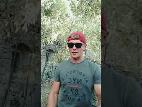 Turas #hot16challenge2