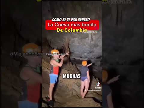 Cueva de la Vaca #viajandoempelota #viajesdeaventura #travel #weeb#santander #viajes #colombia #cow