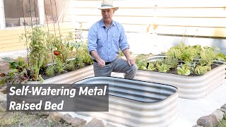 How to Grow Vegetables With Self-Watering Metal Raised Beds | Gardener
