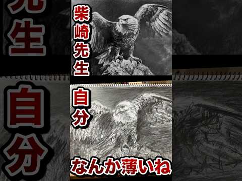 柴崎先生の鷲の絵に挑戦してみた🦅