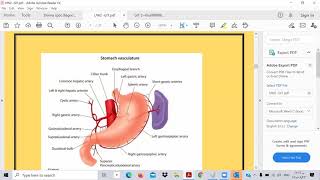 GIT UW 2- Toxic USMLE -Ibrahem Gamal -ابرهيم جمال -شرح وحل معادله امريكية