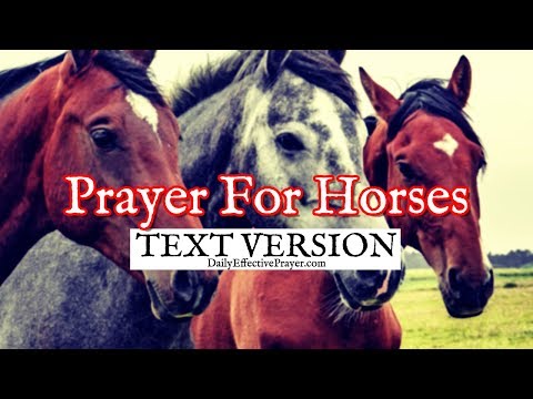 Prayer For Horses (Text Version - No Sound) Video