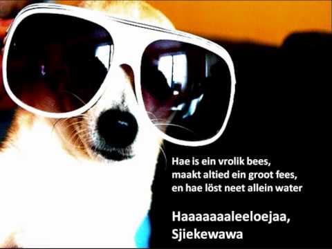 De Sjiekewawa's - Sjiekewawa (Radio Edit)