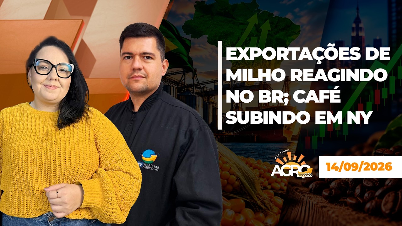 BOA TARDE AGRONEGÓCIO - EXPORTAÇÕES DE MILHO REAGINDO NO BR; CAFÉ SUBINDO EM NY