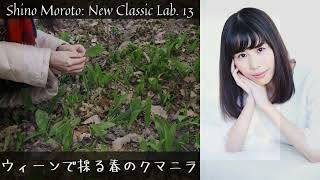 【春のスペシャル】ウィーンの森散策とクマニラ採り【季節を感じる】